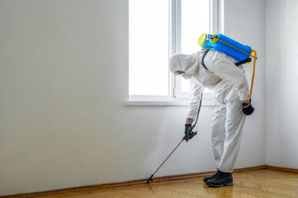 Best Best Pest Control Companies  in Ave Maria, FL