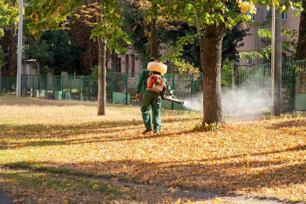 Best Local Pest Control Services  in Ave Maria, FL